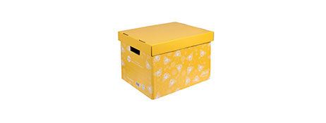 ACCO BRANDS (MARBIG) MARBIG WE MEAN GREEN YELLOW ARCHIVE BOX - ECO STORAGE