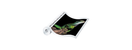 UNSPECIFIED MANUFACTURER PREMIUM GREYBACK POLYESTER FILM FOR ROLL-UP DISPLAYS